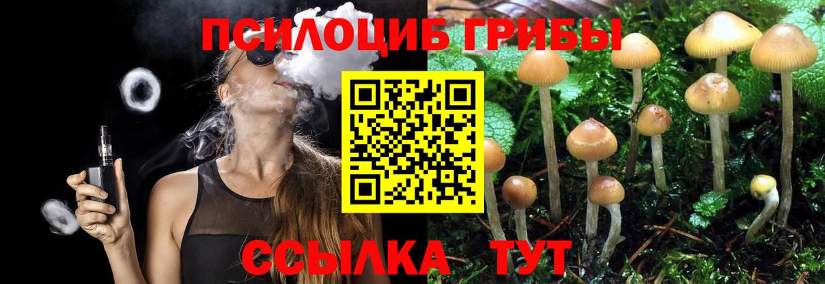 Псилоцибиновые грибы Magic Shrooms  Галлюциногенные грибы прущие грибы  Вход с VPN  Мелеуз 
